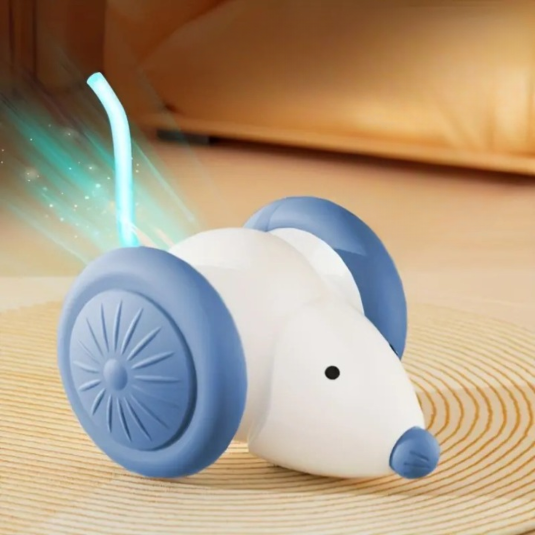 Zampettino il Topo Vivo - Zanaspace